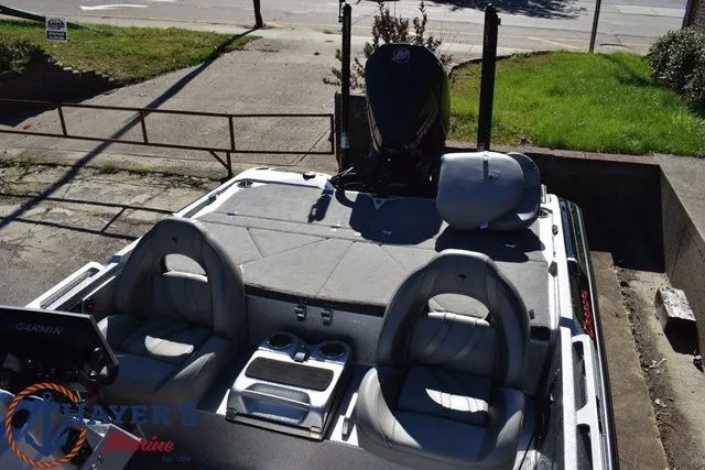 Slide: The Image of Bass Cat Caracal STS 2025 - 20