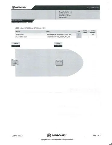 Slide: The Image of Bass Cat Caracal STS 2025 - 39