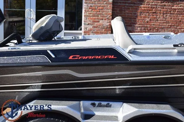 Slide: The Image of Bass Cat Caracal STS 2025 - 4