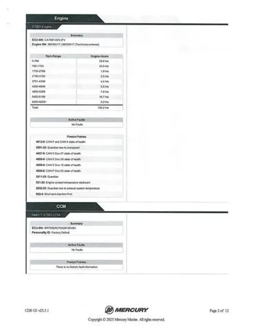 Slide: The Image of Bass Cat Caracal STS 2025 - 40