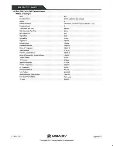 Slide: The Image of Bass Cat Caracal STS 2025 - 41