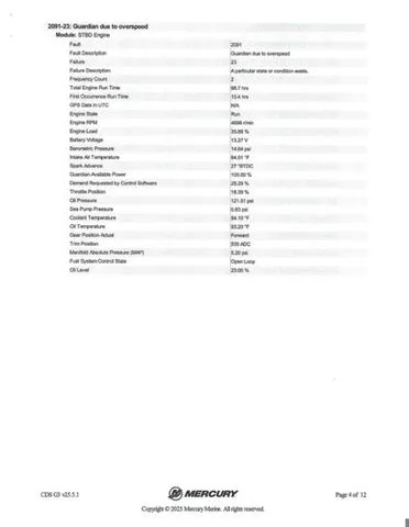 Slide: The Image of Bass Cat Caracal STS 2025 - 42