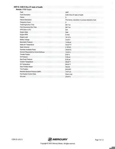 Slide: The Image of Bass Cat Caracal STS 2025 - 43