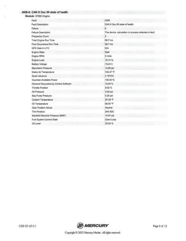 Slide: The Image of Bass Cat Caracal STS 2025 - 44