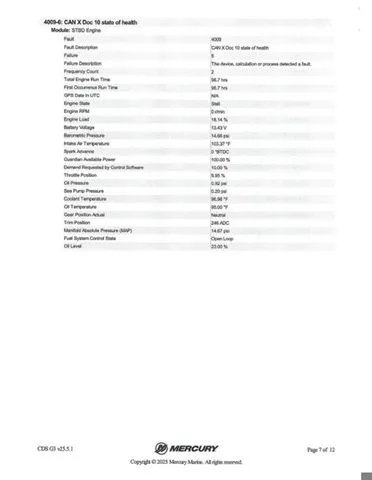 Slide: The Image of Bass Cat Caracal STS 2025 - 45