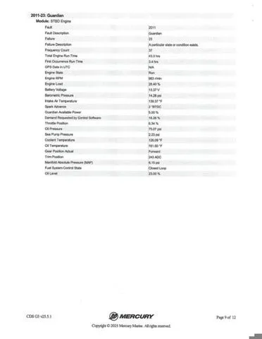 Slide: The Image of Bass Cat Caracal STS 2025 - 47