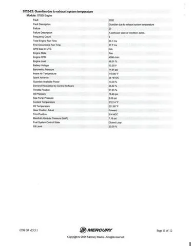 Slide: The Image of Bass Cat Caracal STS 2025 - 49