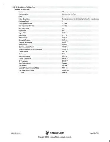 Slide: The Image of Bass Cat Caracal STS 2025 - 50