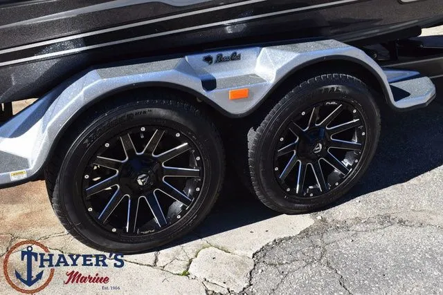 Slide: The Image of Bass Cat Caracal STS 2025 - 6