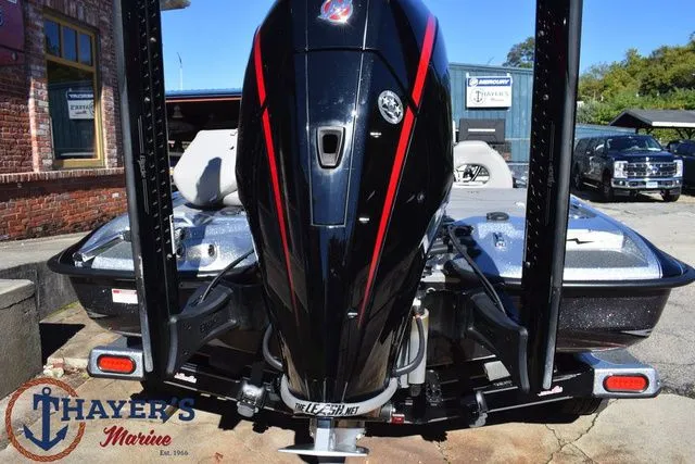 Slide: The Image of Bass Cat Caracal STS 2025 - 7