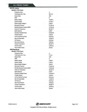 Slide: The Image of Lund 1775 Renegade 2017 - 39