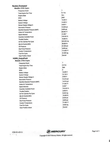 Slide: The Image of Lund 1775 Renegade 2017 - 4