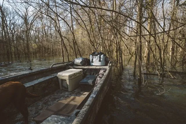 Slide: The Image of Excel 1754 Shallow Water F4 2026 - 10