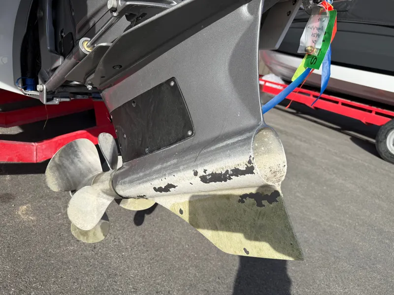 Slide: The Image of Cobalt R8 Surf 2024 - 320