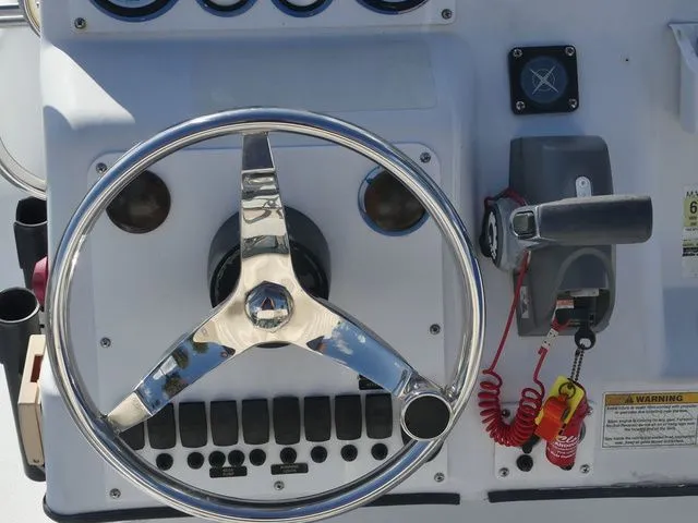 Slide: The Image of Champion 211 2008 - 19