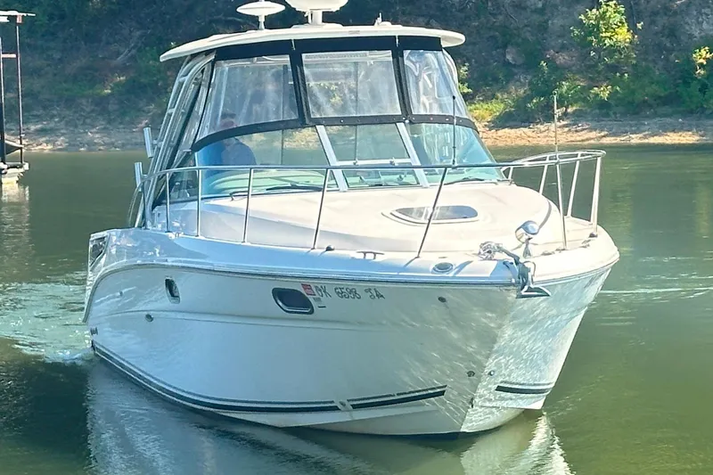 The Image of 2008 Sea Ray 290 Amberjack boat on calm water near a wooded shoreline. - 0
