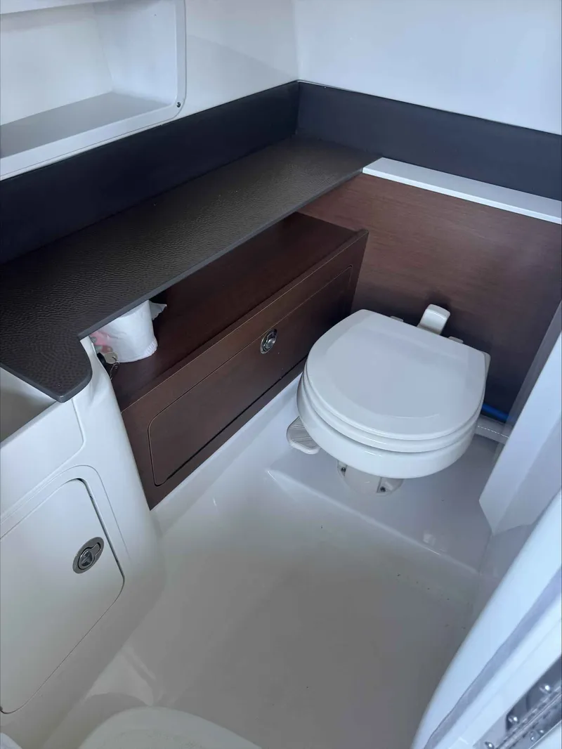 Slide: The Image of Sea Ray 290SDX 2023 - 15