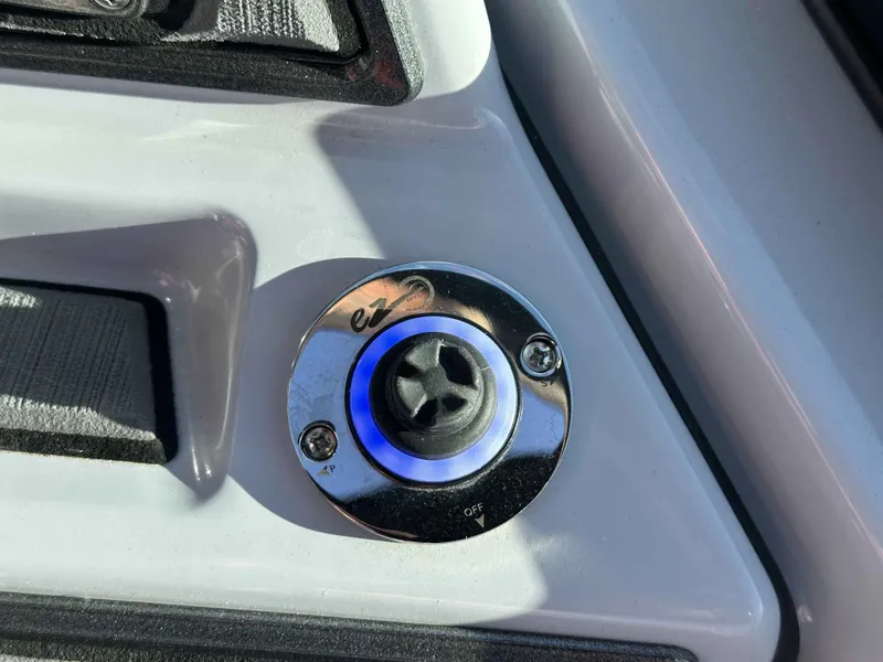 Slide: The Image of Sanger 231 SLE 2021 - 10