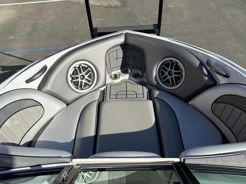 Slide: The Image of Sanger 231 SLE 2021 - 6