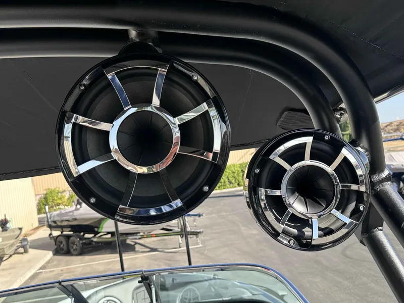 Slide: The Image of Sanger 231 SLE 2021 - 8