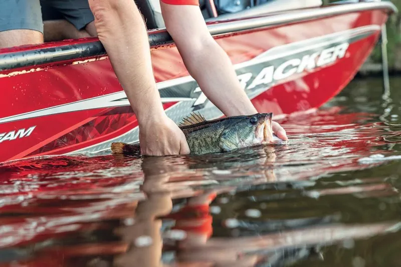 Slide: The Image of Manufacturer Provided Image - 60