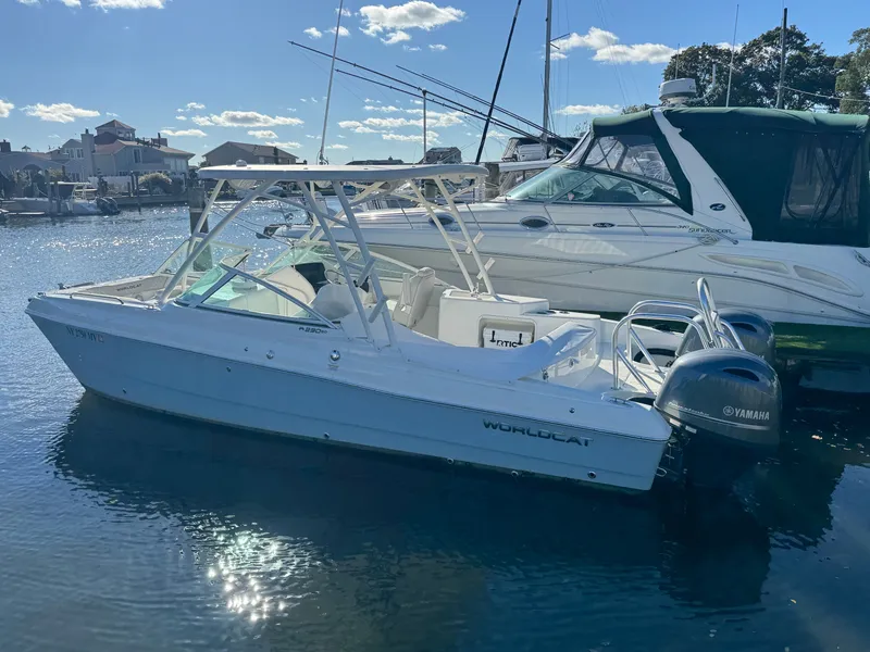 Slide: The Image of World Cat 230 SD 2026 - 6