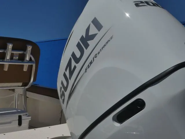 Slide: The Image of Pioneer 202 Islander 2026 - 11