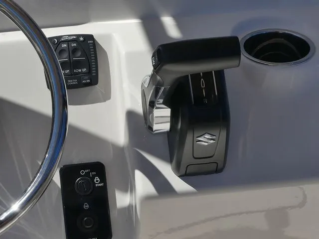 Slide: The Image of Pioneer 202 Islander 2026 - 26