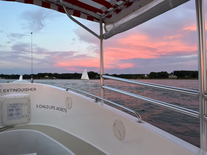 Slide: The Image of Duffy 26 Water Taxi 2024 - 16
