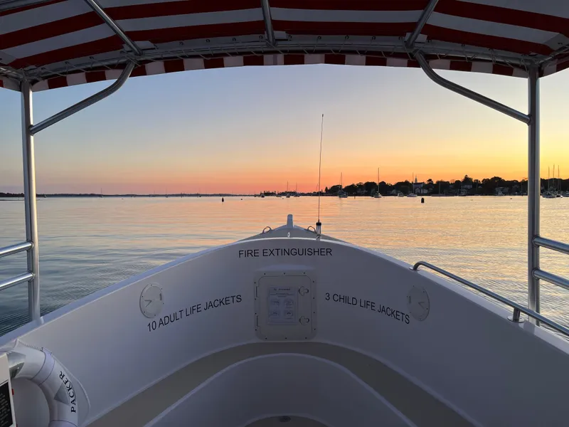Slide: The Image of Duffy 26 Water Taxi 2024 - 18