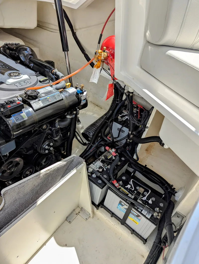 Slide: The Image of Sea Ray SLX 310 2022 - 21