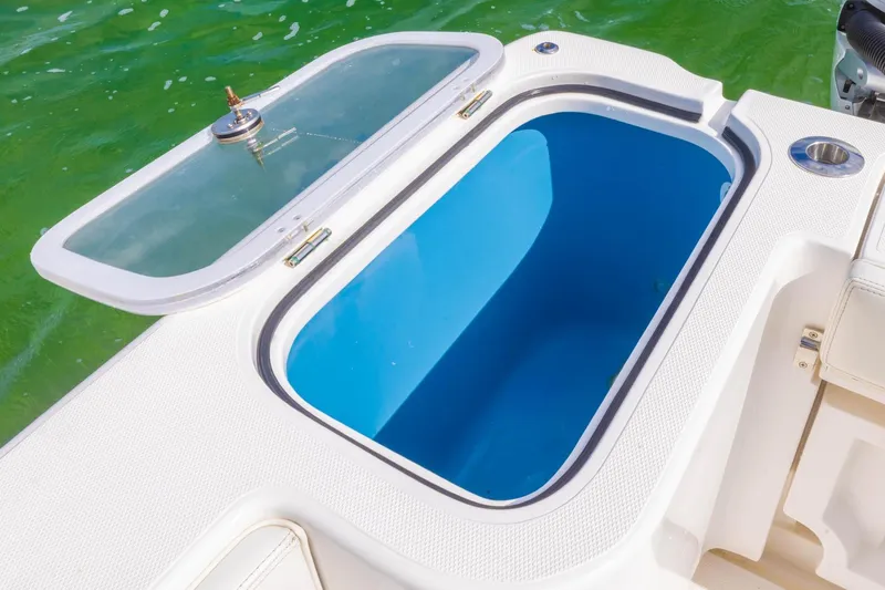 Slide: The Image of Livewell on 2024 Blackwater 43 Sportfish boat, open lid, blue interior, near green water. - 63