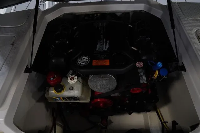 Slide: The Image of Chaparral 21 Surf 2022 - 26