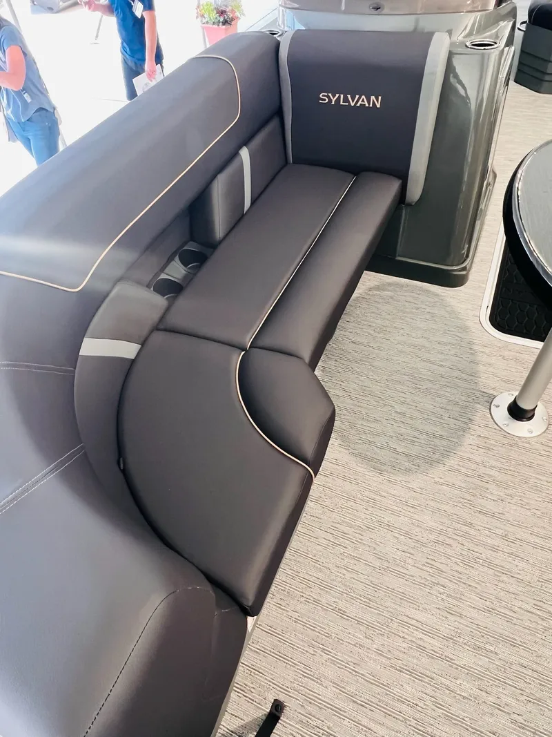 Slide: The Image of Sylvan X3 CLZ DH Mirage - Platinum Pkg 2026 - 19