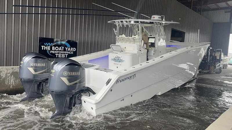 Slide: The Image of Freeman 34VH 2017 - 3