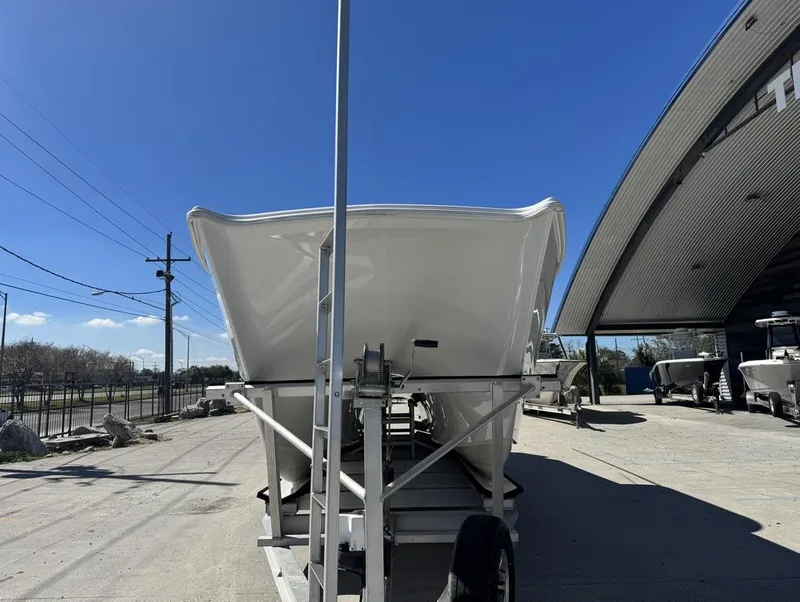 Slide: The Image of Freeman 34VH 2017 - 5