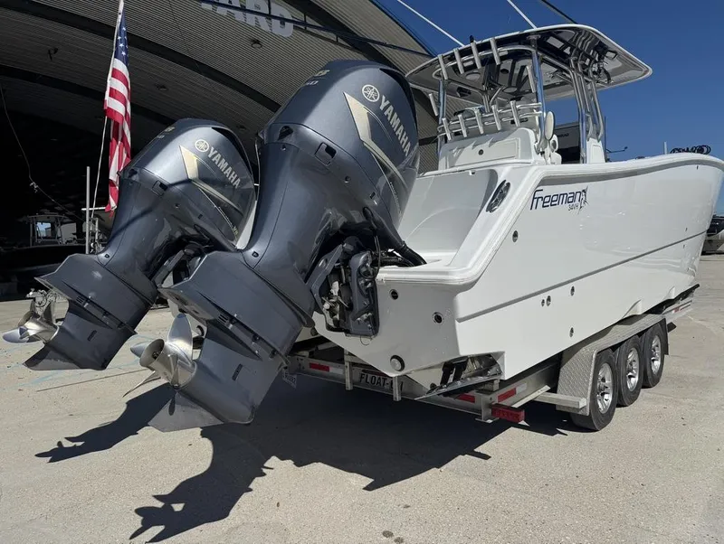 Slide: The Image of Freeman 34VH 2017 - 6