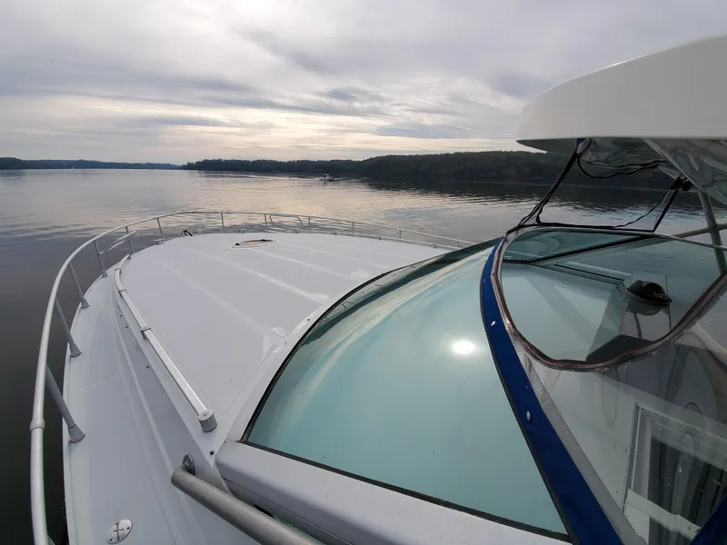 Slide: The Image of Giorgi 46 1993 - 50