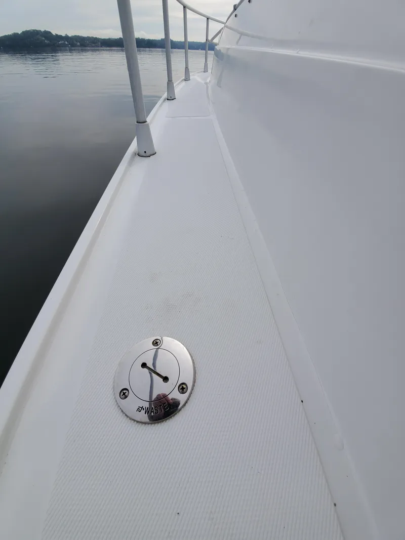 Slide: The Image of Giorgi 46 1993 - 51