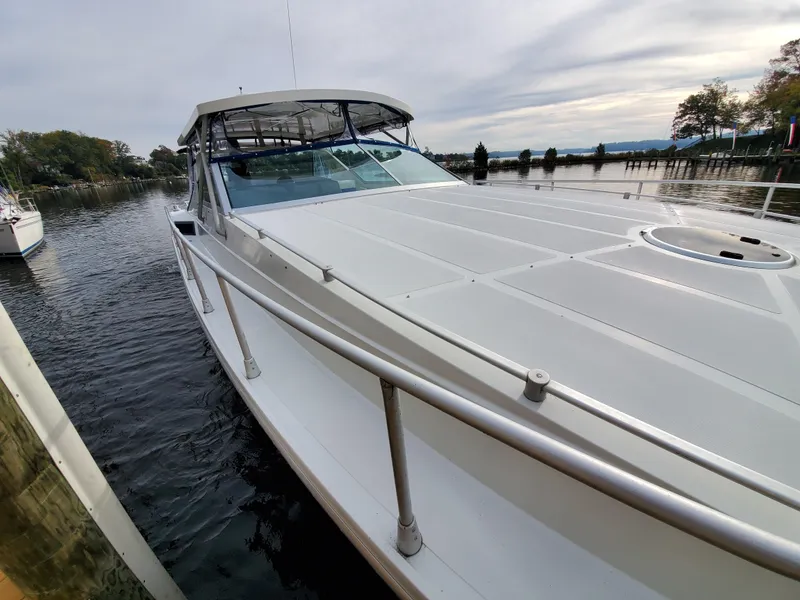 Slide: The Image of Giorgi 46 1993 - 67