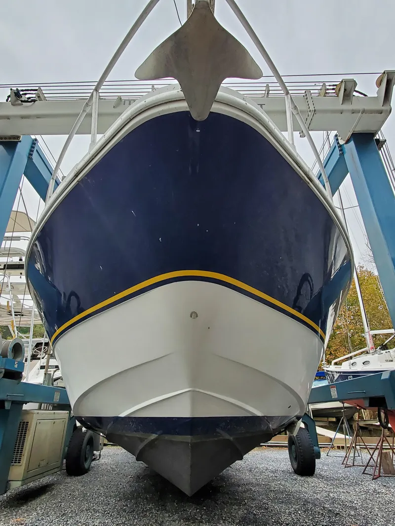 Slide: The Image of Giorgi 46 1993 - 71