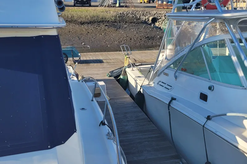 Slide: The Image of 1988 Tiara Yachts 3600 Convertible docked at marina, side view. - 16