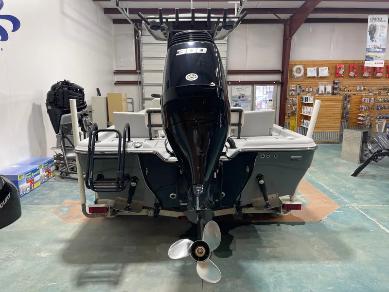 Slide: The Image of Blue Wave 2400 Pure Bay 2020 - 6