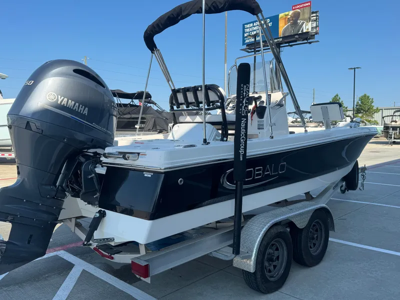 Slide: The Image of Robalo 206 Cayman 2019 - 8