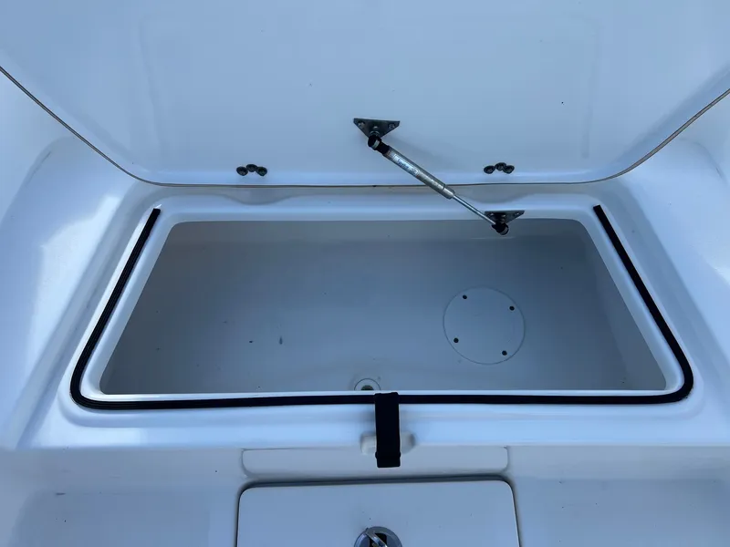 Slide: The Image of Sea Fox 240 Viper 2018 - 18