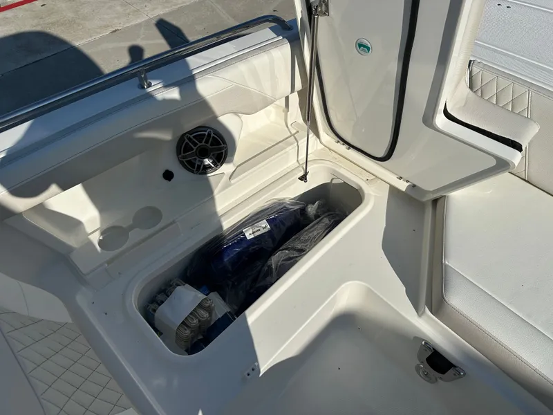 Slide: The Image of World Cat 265DC 2026 - 43