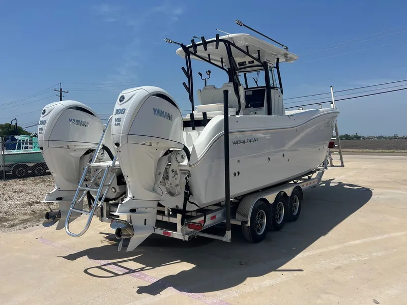 Slide: The Image of World Cat 295 CC 2024 - 10