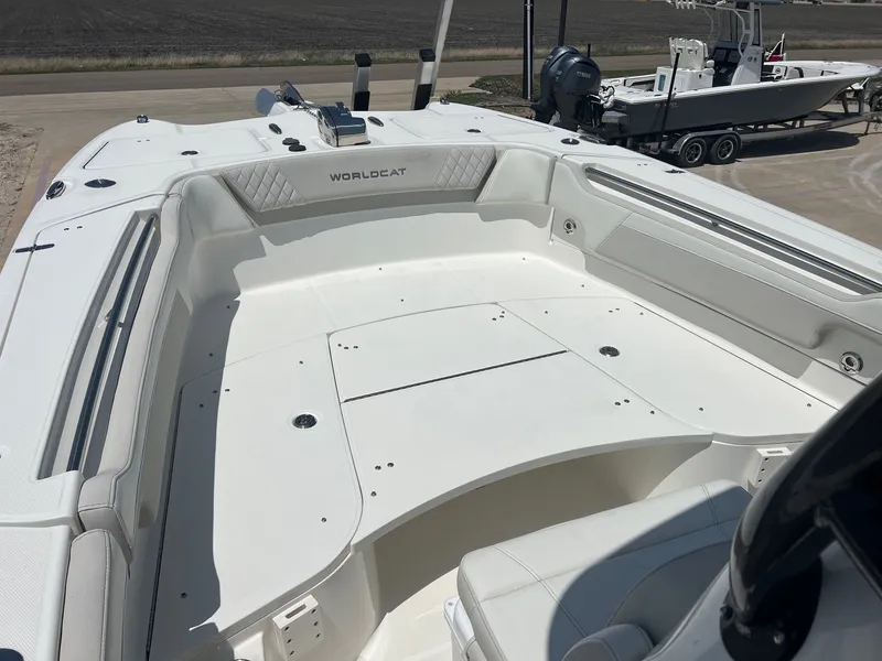 Slide: The Image of World Cat 295 CC 2024 - 11