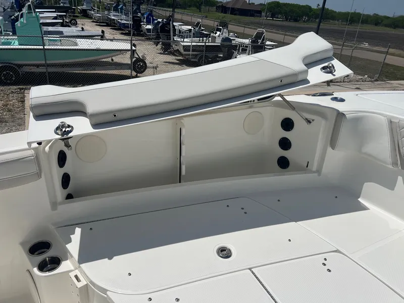 Slide: The Image of World Cat 295 CC 2024 - 12