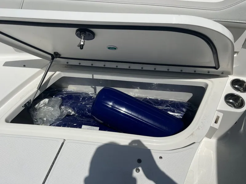 Slide: The Image of World Cat 295 CC 2024 - 14